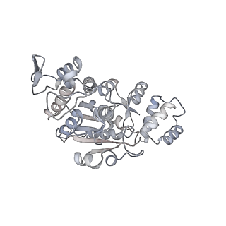 11393_6zsc_AX_v4-1
Human mitochondrial ribosome in complex with E-site tRNA