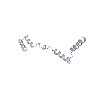 11393_6zsc_AZ_v1-0
Human mitochondrial ribosome in complex with E-site tRNA