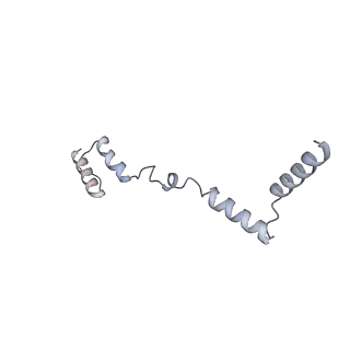 11393_6zsc_AZ_v4-0
Human mitochondrial ribosome in complex with E-site tRNA