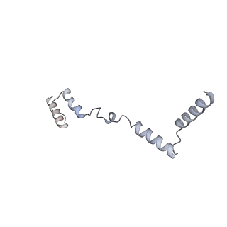 11393_6zsc_AZ_v4-1
Human mitochondrial ribosome in complex with E-site tRNA