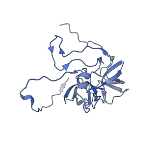 11393_6zsc_XD_v1-0
Human mitochondrial ribosome in complex with E-site tRNA