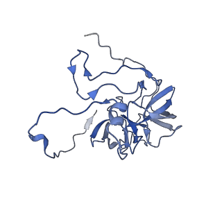 11393_6zsc_XD_v2-0
Human mitochondrial ribosome in complex with E-site tRNA