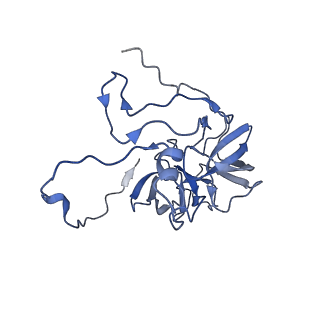 11393_6zsc_XD_v4-1
Human mitochondrial ribosome in complex with E-site tRNA