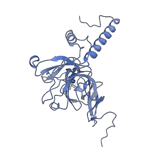 11393_6zsc_XE_v1-0
Human mitochondrial ribosome in complex with E-site tRNA