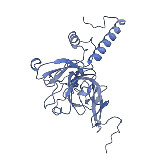 11393_6zsc_XE_v4-1
Human mitochondrial ribosome in complex with E-site tRNA