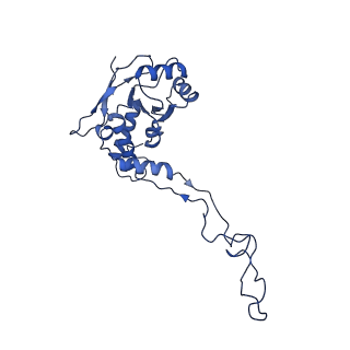 11393_6zsc_XF_v4-1
Human mitochondrial ribosome in complex with E-site tRNA