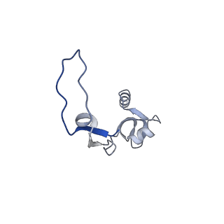 11393_6zsc_XH_v1-0
Human mitochondrial ribosome in complex with E-site tRNA