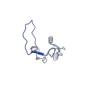 11393_6zsc_XH_v4-1
Human mitochondrial ribosome in complex with E-site tRNA