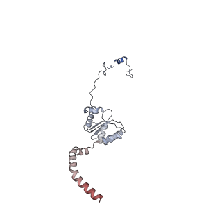 11393_6zsc_XI_v1-0
Human mitochondrial ribosome in complex with E-site tRNA