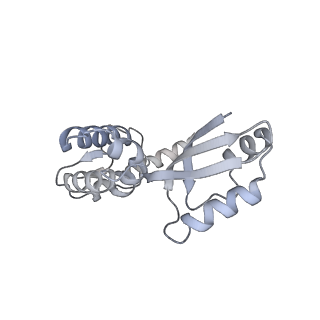 11393_6zsc_XJ_v1-0
Human mitochondrial ribosome in complex with E-site tRNA