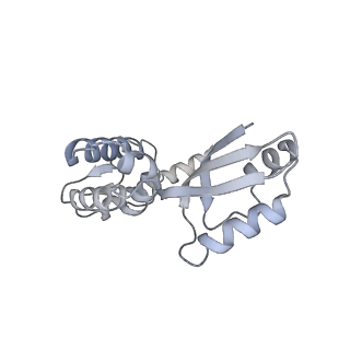 11393_6zsc_XJ_v4-1
Human mitochondrial ribosome in complex with E-site tRNA