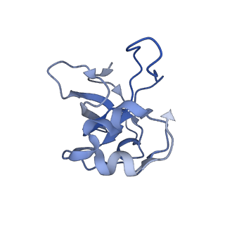 11393_6zsc_XL_v1-0
Human mitochondrial ribosome in complex with E-site tRNA
