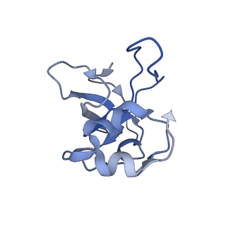 11393_6zsc_XL_v4-1
Human mitochondrial ribosome in complex with E-site tRNA