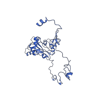 11393_6zsc_XM_v4-1
Human mitochondrial ribosome in complex with E-site tRNA