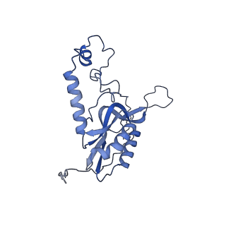 11393_6zsc_XN_v1-0
Human mitochondrial ribosome in complex with E-site tRNA
