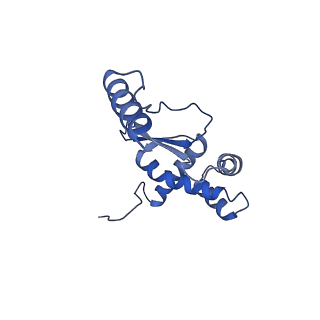 11393_6zsc_XO_v1-0
Human mitochondrial ribosome in complex with E-site tRNA