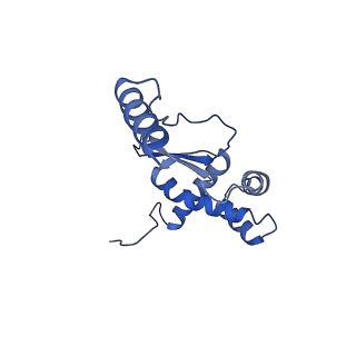 11393_6zsc_XO_v4-1
Human mitochondrial ribosome in complex with E-site tRNA