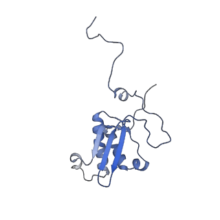 11393_6zsc_XP_v1-0
Human mitochondrial ribosome in complex with E-site tRNA