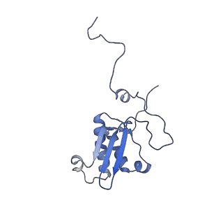 11393_6zsc_XP_v4-0
Human mitochondrial ribosome in complex with E-site tRNA