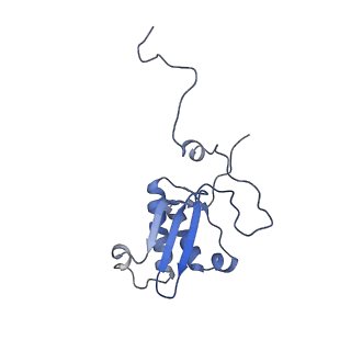 11393_6zsc_XP_v4-1
Human mitochondrial ribosome in complex with E-site tRNA