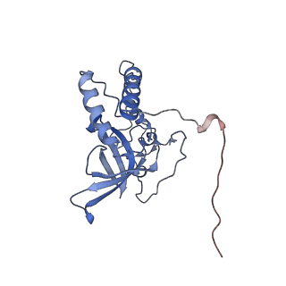 11393_6zsc_XQ_v4-1
Human mitochondrial ribosome in complex with E-site tRNA