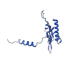 11393_6zsc_XT_v1-0
Human mitochondrial ribosome in complex with E-site tRNA
