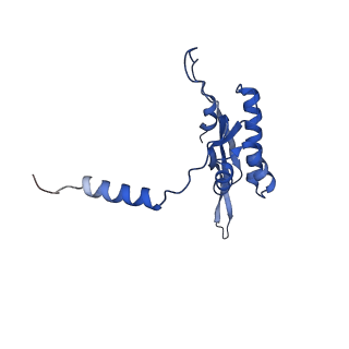 11393_6zsc_XT_v4-1
Human mitochondrial ribosome in complex with E-site tRNA