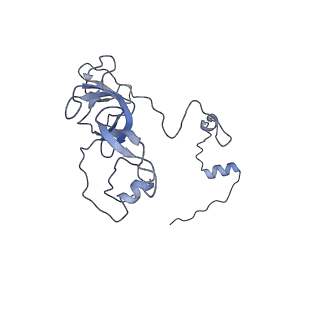 11393_6zsc_XV_v1-0
Human mitochondrial ribosome in complex with E-site tRNA