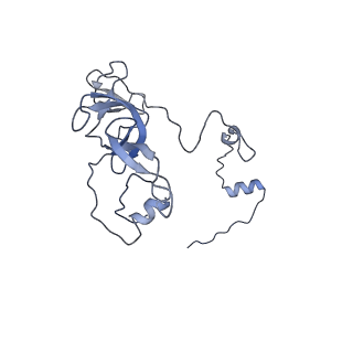 11393_6zsc_XV_v3-0
Human mitochondrial ribosome in complex with E-site tRNA