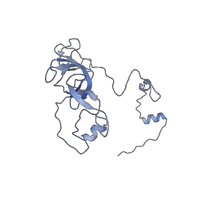 11393_6zsc_XV_v4-1
Human mitochondrial ribosome in complex with E-site tRNA