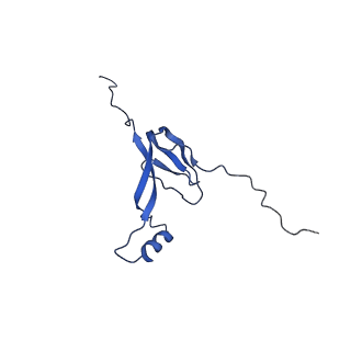 11393_6zsc_XW_v4-1
Human mitochondrial ribosome in complex with E-site tRNA