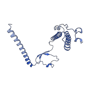 11393_6zsc_XY_v4-1
Human mitochondrial ribosome in complex with E-site tRNA