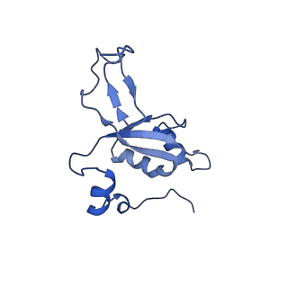 11393_6zsc_XZ_v1-0
Human mitochondrial ribosome in complex with E-site tRNA