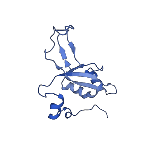 11393_6zsc_XZ_v2-0
Human mitochondrial ribosome in complex with E-site tRNA