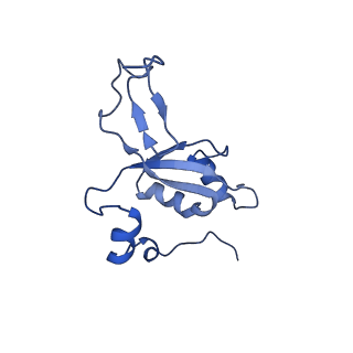 11393_6zsc_XZ_v4-0
Human mitochondrial ribosome in complex with E-site tRNA