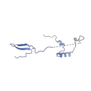 11393_6zsc_a_v1-0
Human mitochondrial ribosome in complex with E-site tRNA