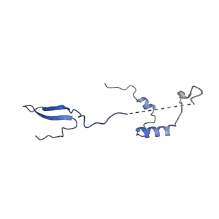 11393_6zsc_a_v4-1
Human mitochondrial ribosome in complex with E-site tRNA