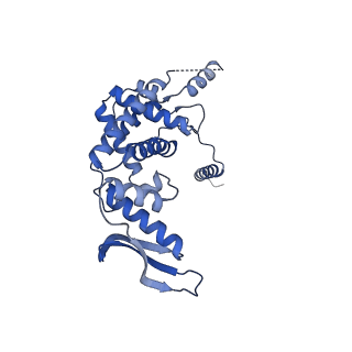11393_6zsc_c_v2-0
Human mitochondrial ribosome in complex with E-site tRNA
