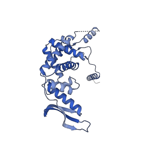 11393_6zsc_c_v4-0
Human mitochondrial ribosome in complex with E-site tRNA