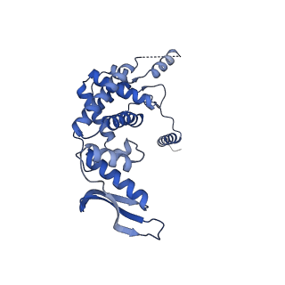 11393_6zsc_c_v4-1
Human mitochondrial ribosome in complex with E-site tRNA