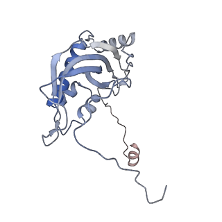 11393_6zsc_d_v4-0
Human mitochondrial ribosome in complex with E-site tRNA