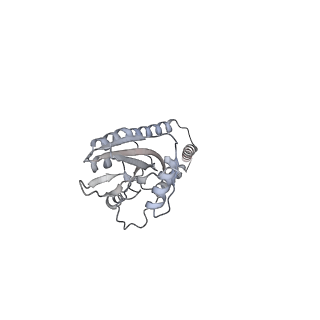 11393_6zsc_e_v1-0
Human mitochondrial ribosome in complex with E-site tRNA