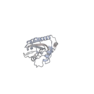 11393_6zsc_e_v2-0
Human mitochondrial ribosome in complex with E-site tRNA