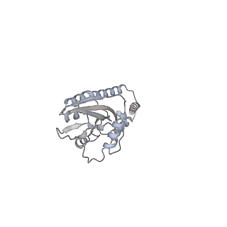 11393_6zsc_e_v4-0
Human mitochondrial ribosome in complex with E-site tRNA