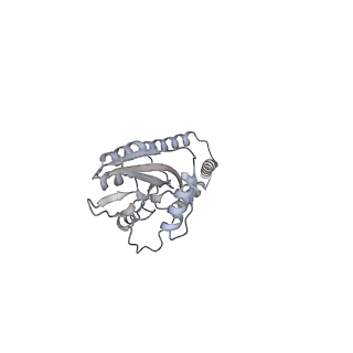 11393_6zsc_e_v4-1
Human mitochondrial ribosome in complex with E-site tRNA