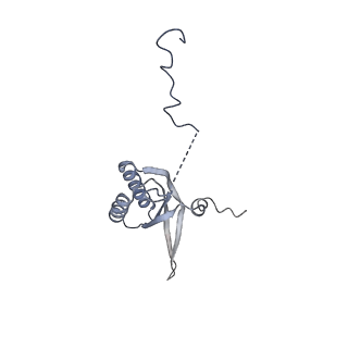 11393_6zsc_f_v1-0
Human mitochondrial ribosome in complex with E-site tRNA