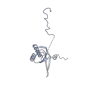 11393_6zsc_f_v4-1
Human mitochondrial ribosome in complex with E-site tRNA