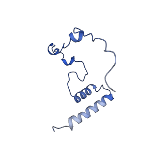 11393_6zsc_i_v1-0
Human mitochondrial ribosome in complex with E-site tRNA