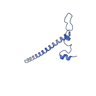 11393_6zsc_j_v1-0
Human mitochondrial ribosome in complex with E-site tRNA