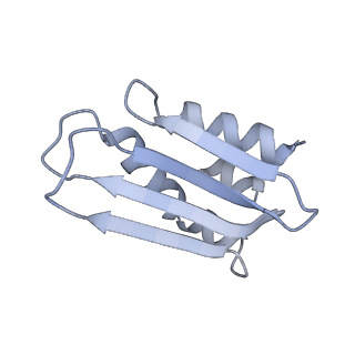 11393_6zsc_k_v1-0
Human mitochondrial ribosome in complex with E-site tRNA